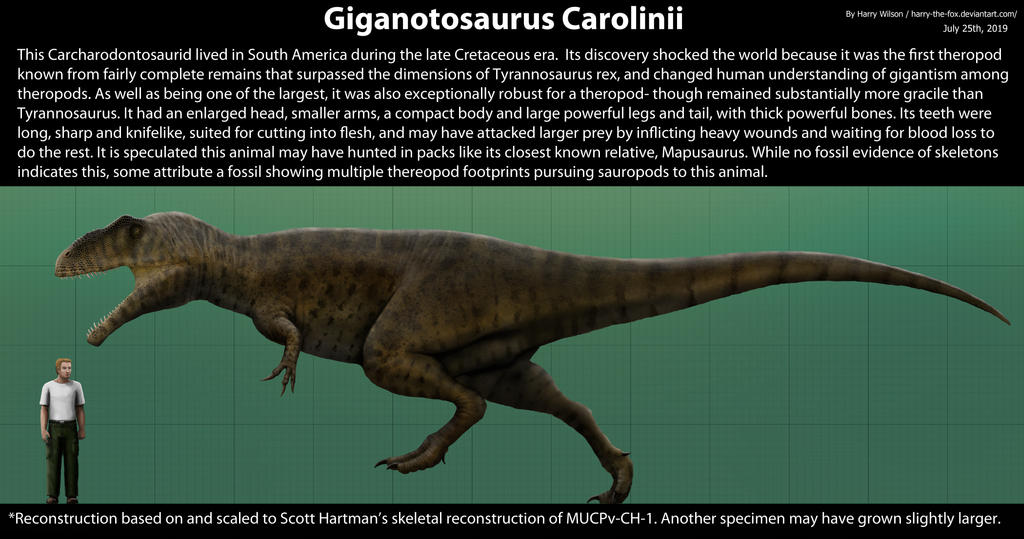 how tall is a giganotosaurus