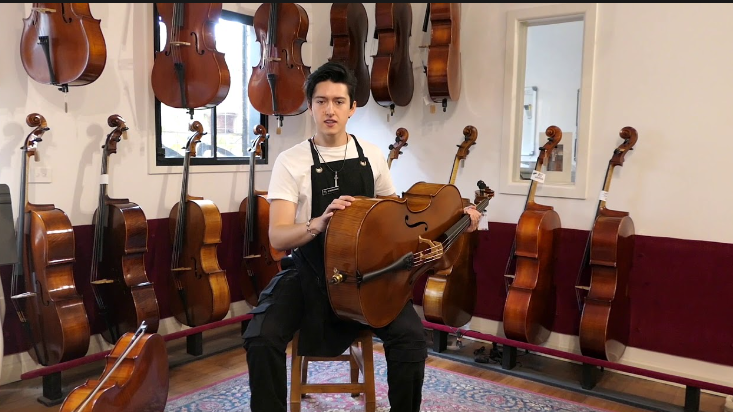 how much does a cello weigh