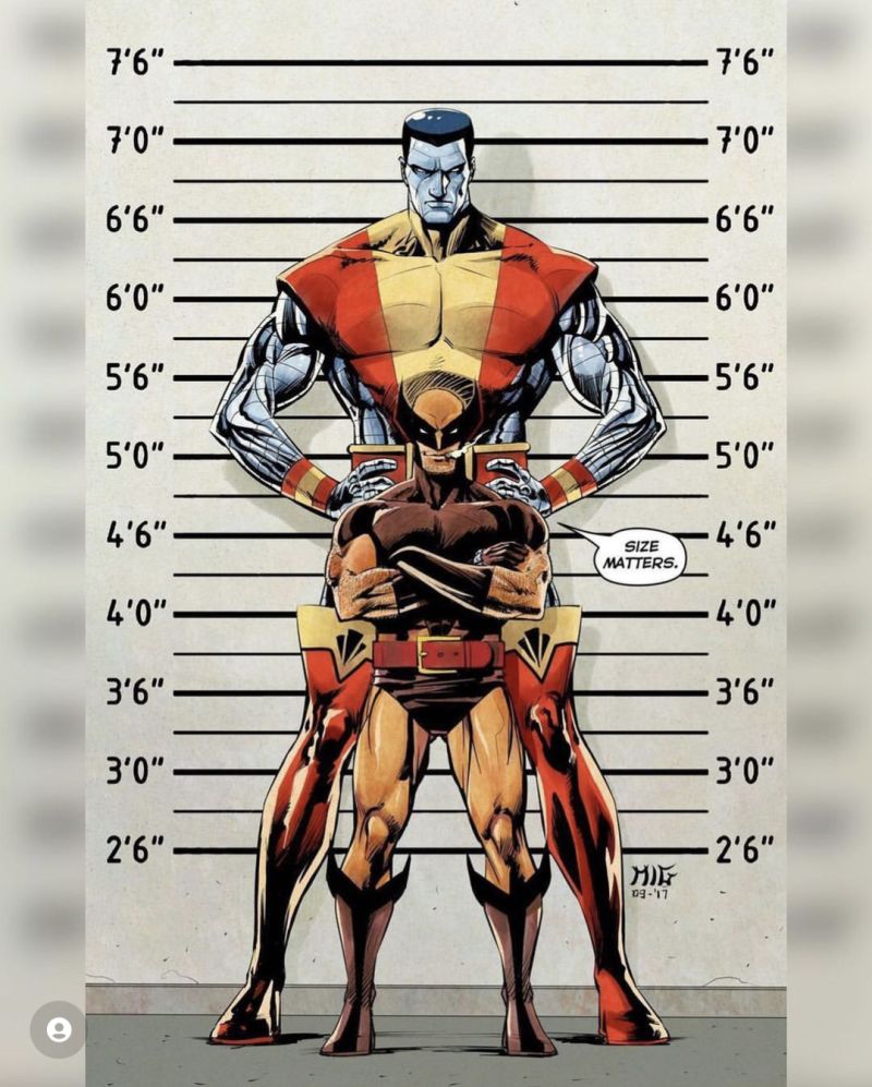 wolverine height