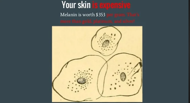 how much is a gram of melanin