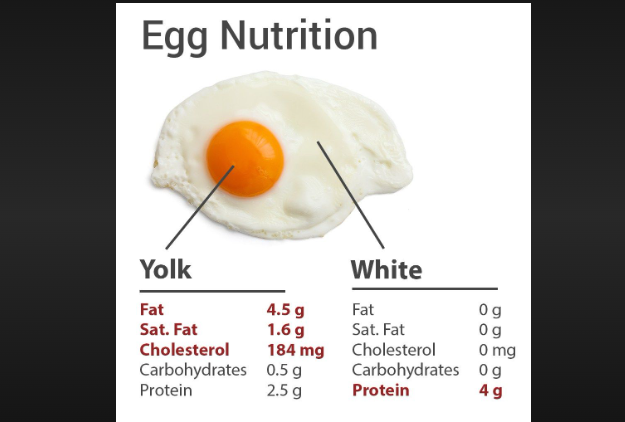 how many grams is 1 egg