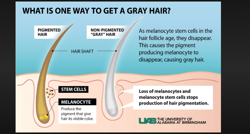 what does gray hair symbolize