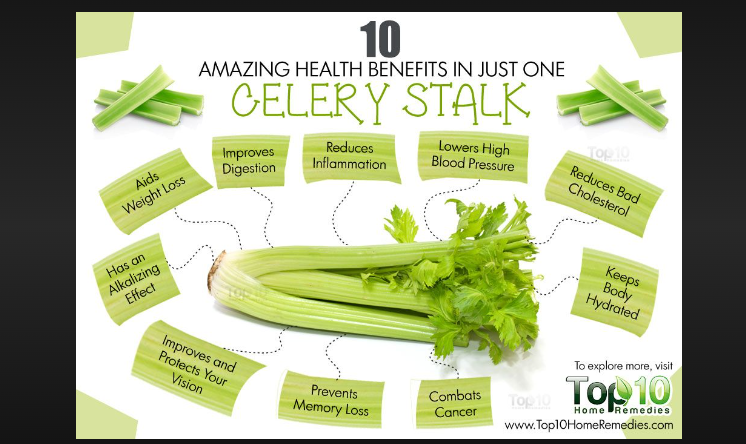 how many cups is one stalk of celery