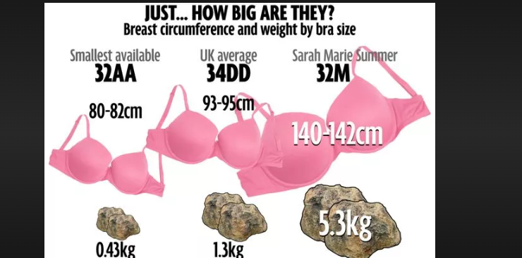 how much do boobs weigh